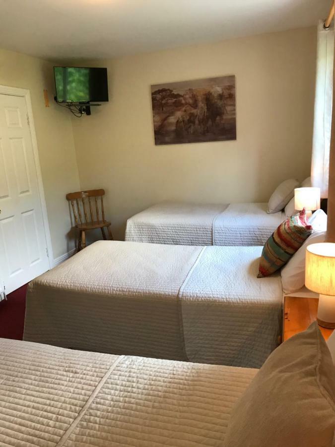 קילקני San Antonio Guesthouse מראה חיצוני תמונה